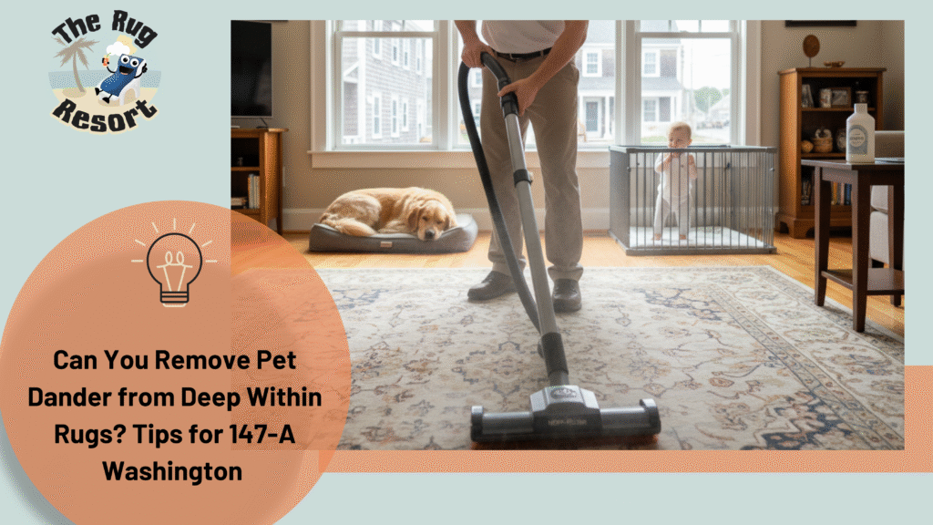 Can You Remove Pet Dander from Deep Within Rugs