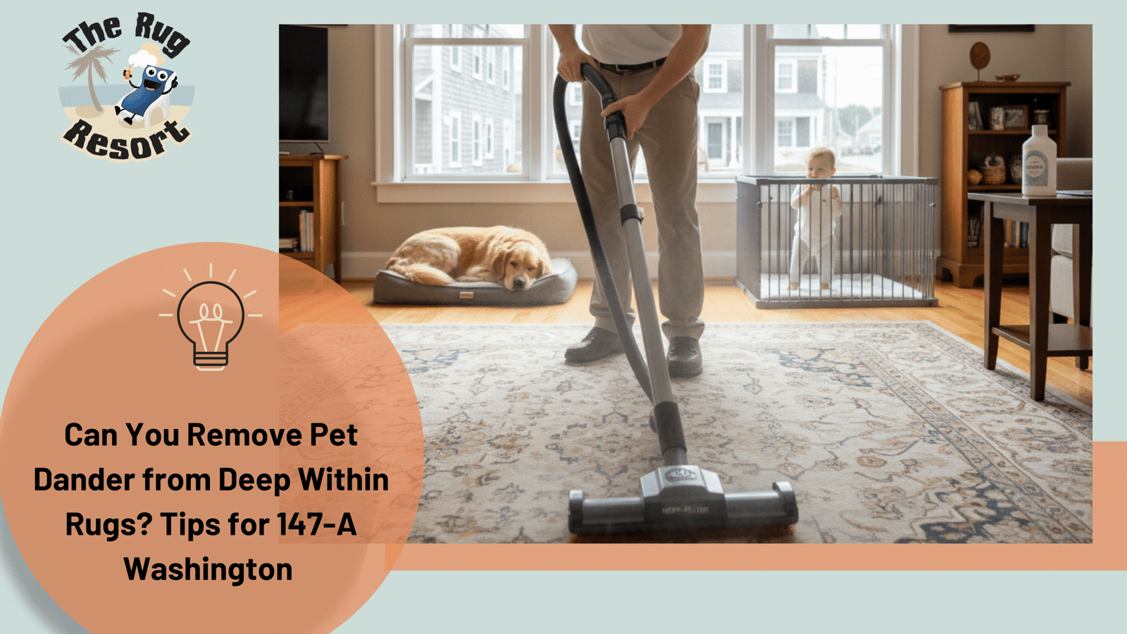 Can You Remove Pet Dander from Deep Within Rugs
