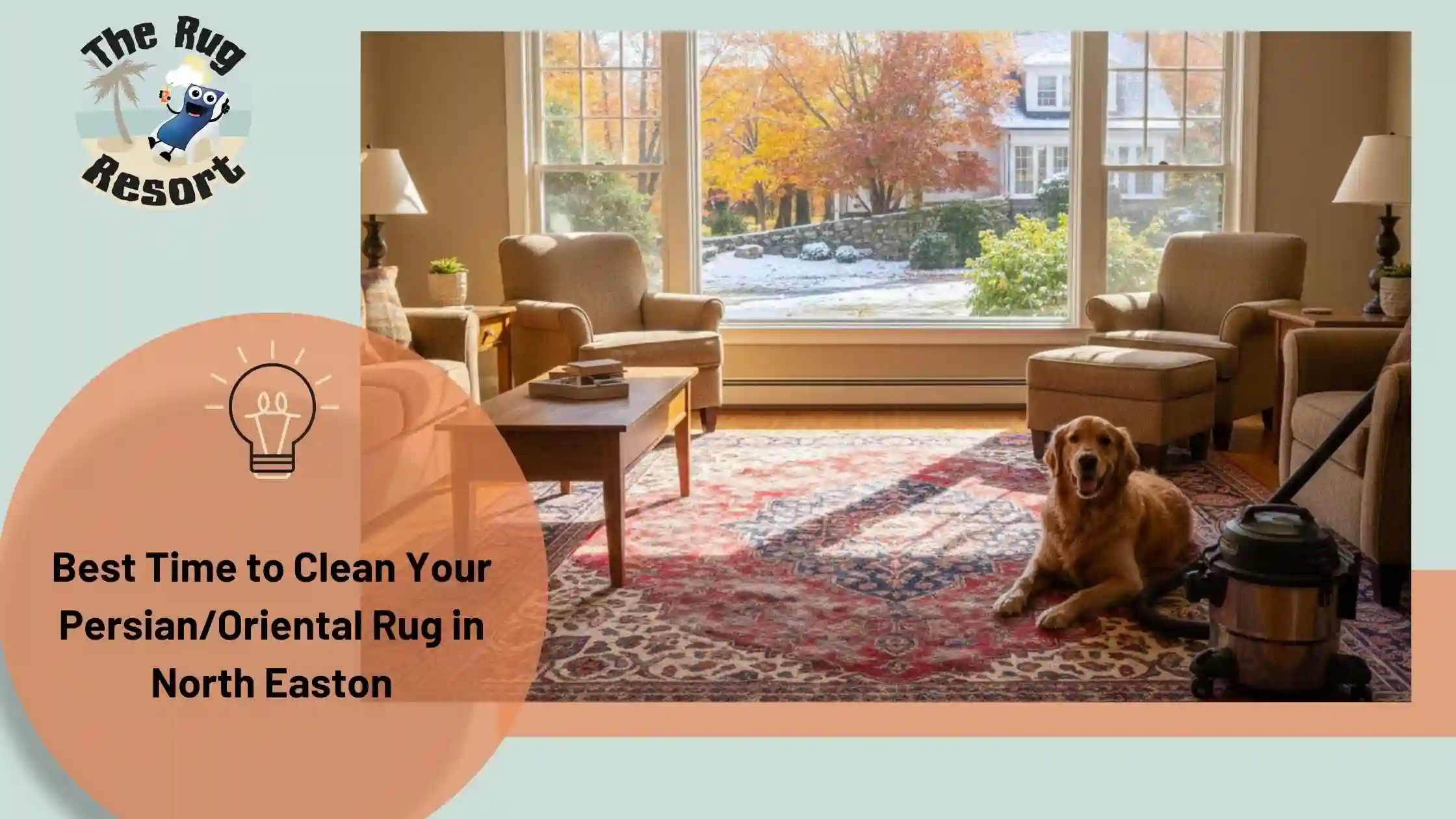 Best Time to Clean Your PersianOriental Rug in North Easton, MA