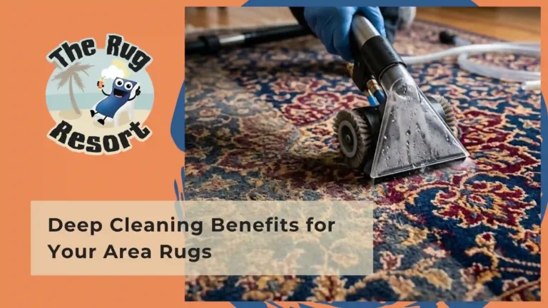 Deep Cleaning Benefits for Your Area Rugs